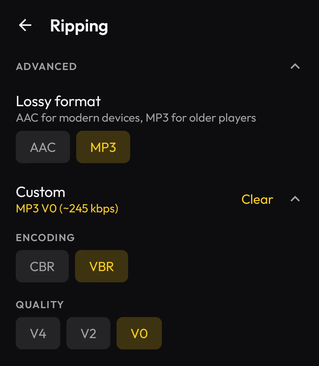 Discs ripping settings showing AAC and MP3 options with a custom MP3 V0 VBR profile